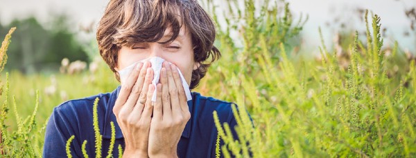 alergia en primavera